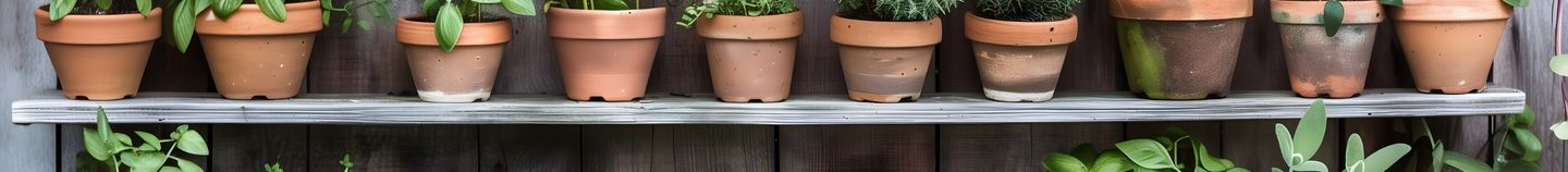 Aromatiques pour terrasse