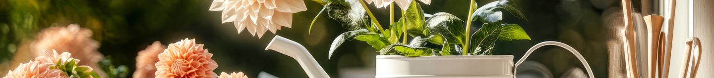 Blacon fleuri en automne