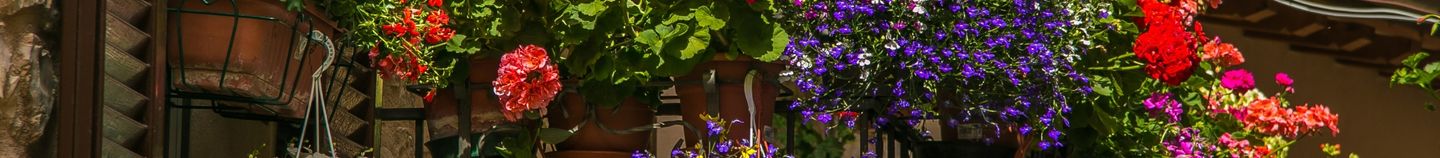 balcon fleuri toute l'année