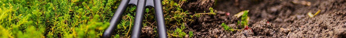 Potager selon la saison