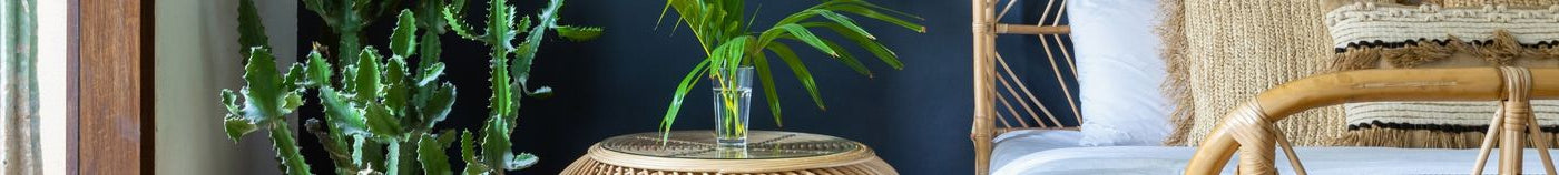 Plantes pour la chambre