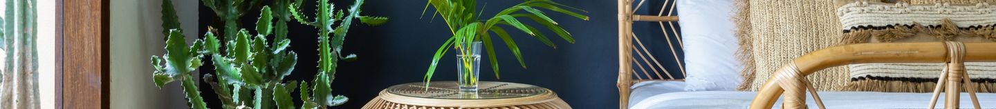 Plantes pour la chambre