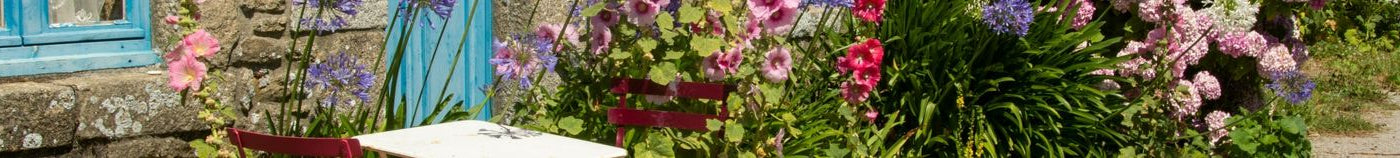 Plantes adaptées selon le climat