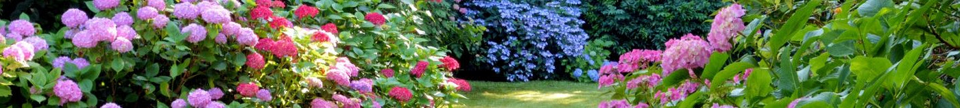 Plantes pour un jardin tempéré