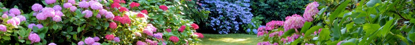 Plantes pour un jardin tempéré