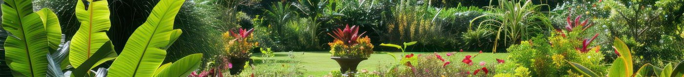 Plantes pour sol acide