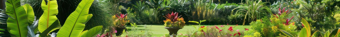 Plantes pour sol acide