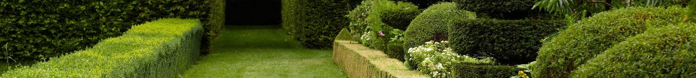 Jardin à la française