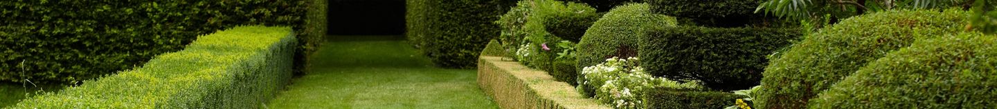 Jardin à la française