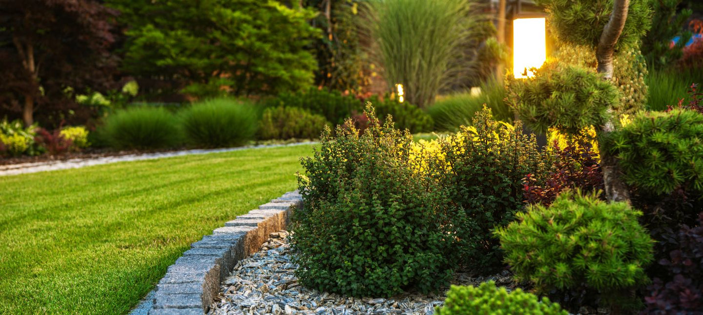 Jardin toujours vert