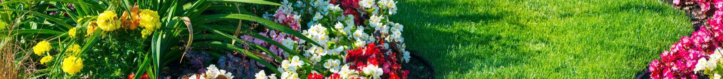 Jardin paysager