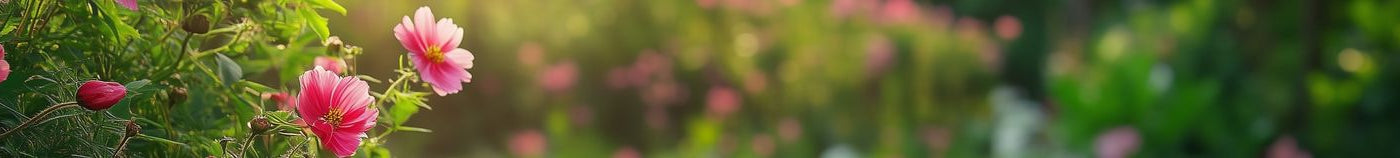 Jardin fleuri en automne