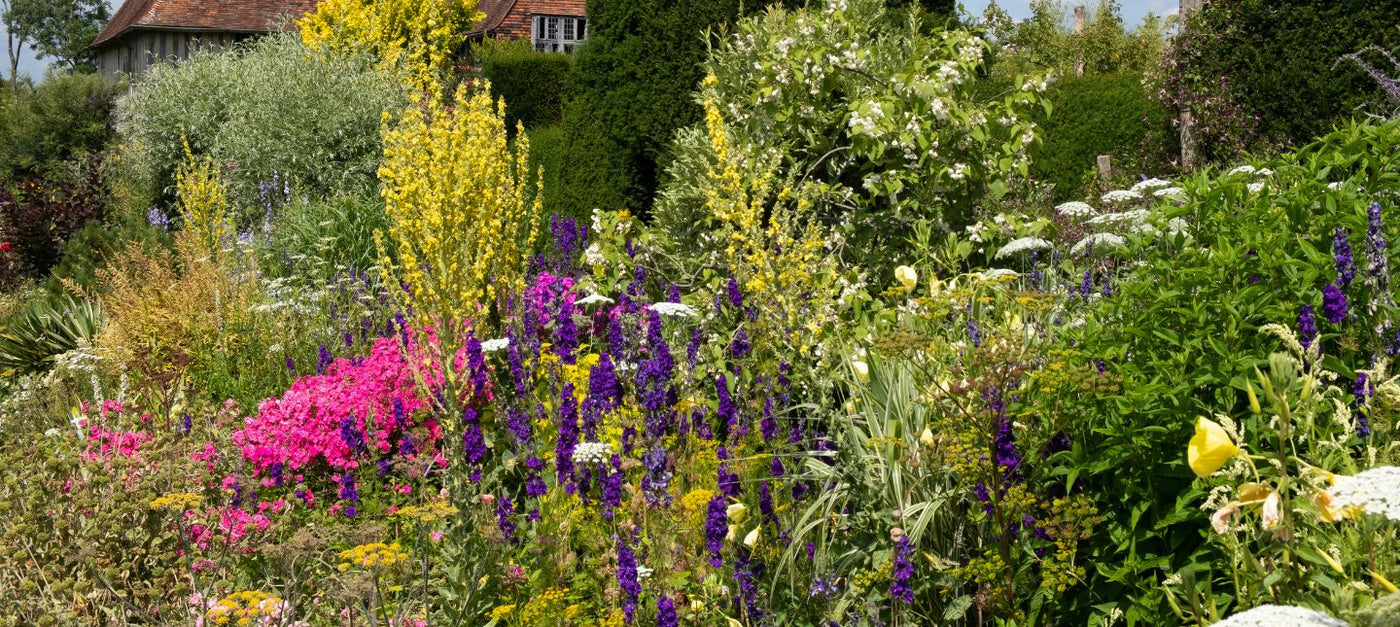 Jardin sans entretien
