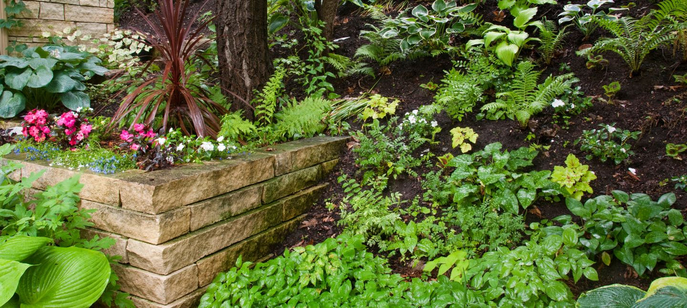 Jardin à l’ombre