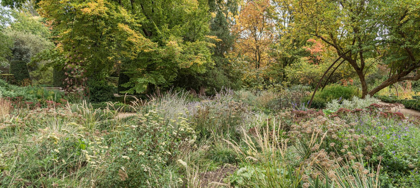 Jardin naturel et écologique