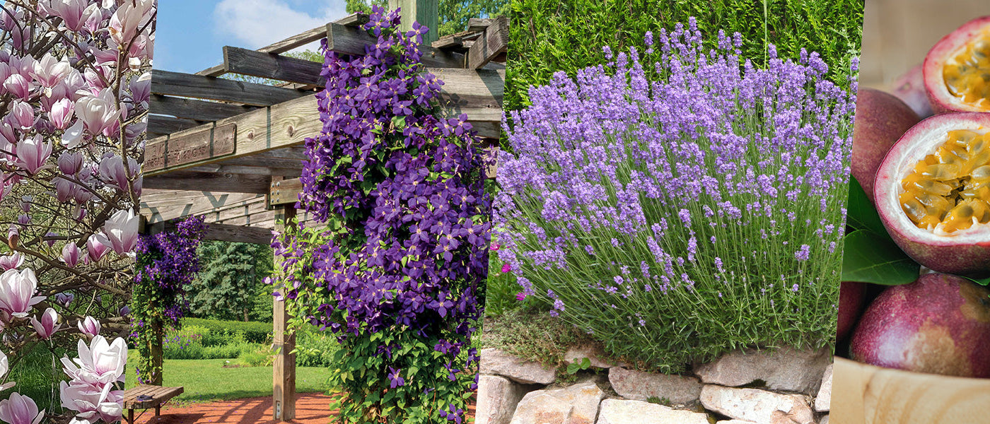 Nos best-sellers de la saison