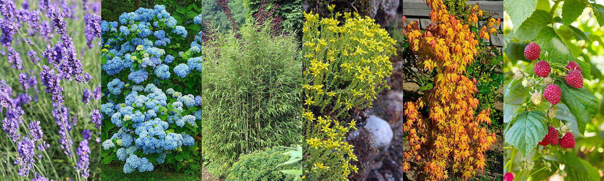 Feu sur les couleurs : jusqu'à -20% !