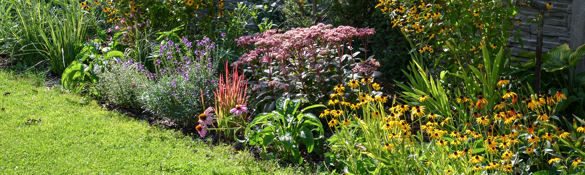 Plantes à floraison tardive | -20%