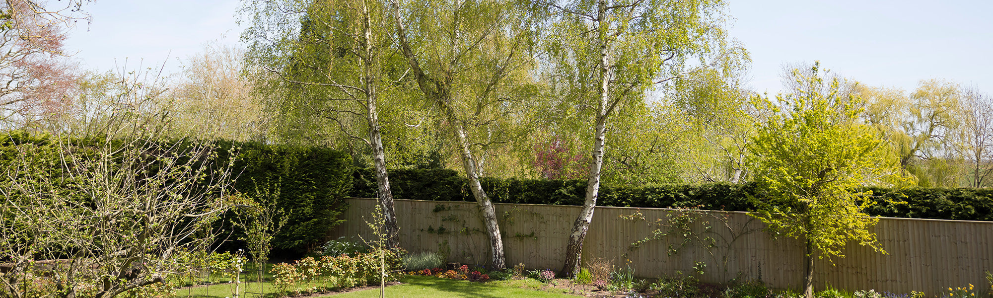 Les géants du jardin | -30%