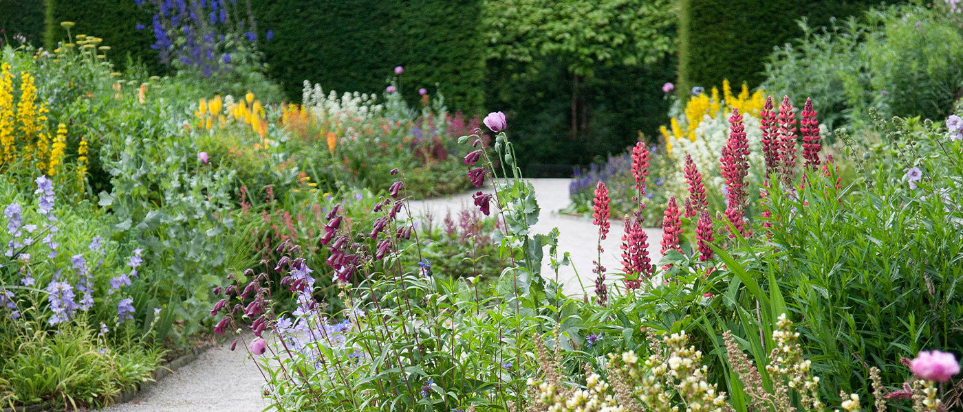 Ambiance jardin anglais