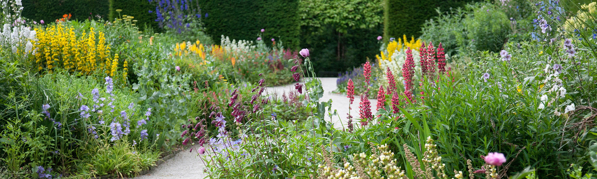 Ambiance jardin anglais