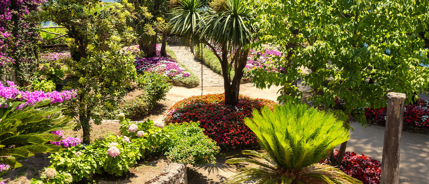 Jardin exotique | -10%