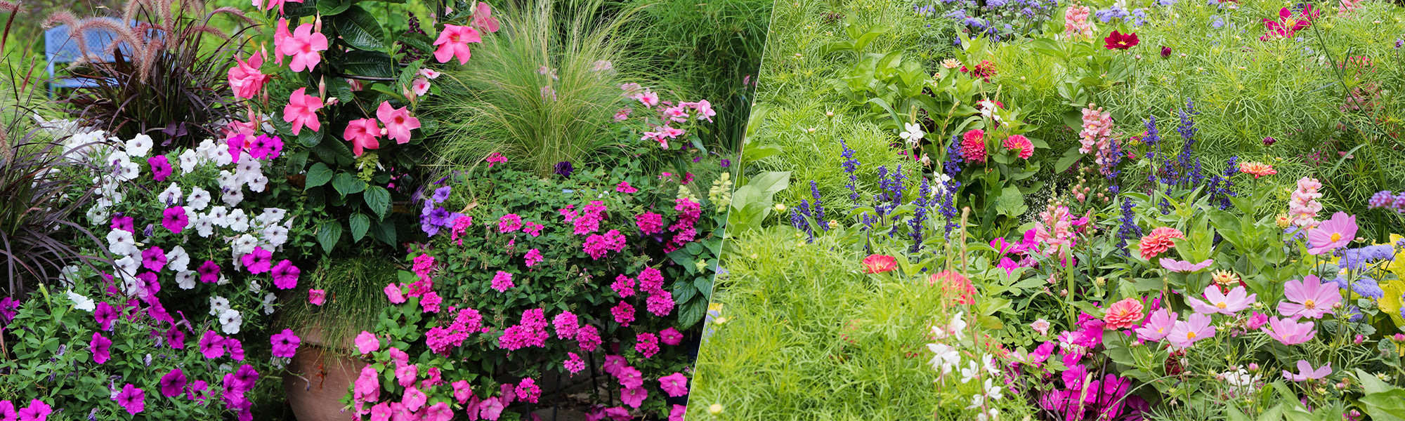 Le jardin n’attend pas | -20%