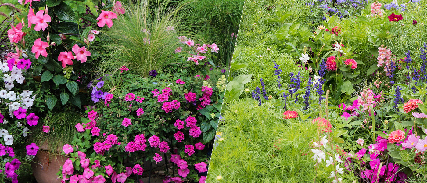 Le jardin n’attend pas | -30%