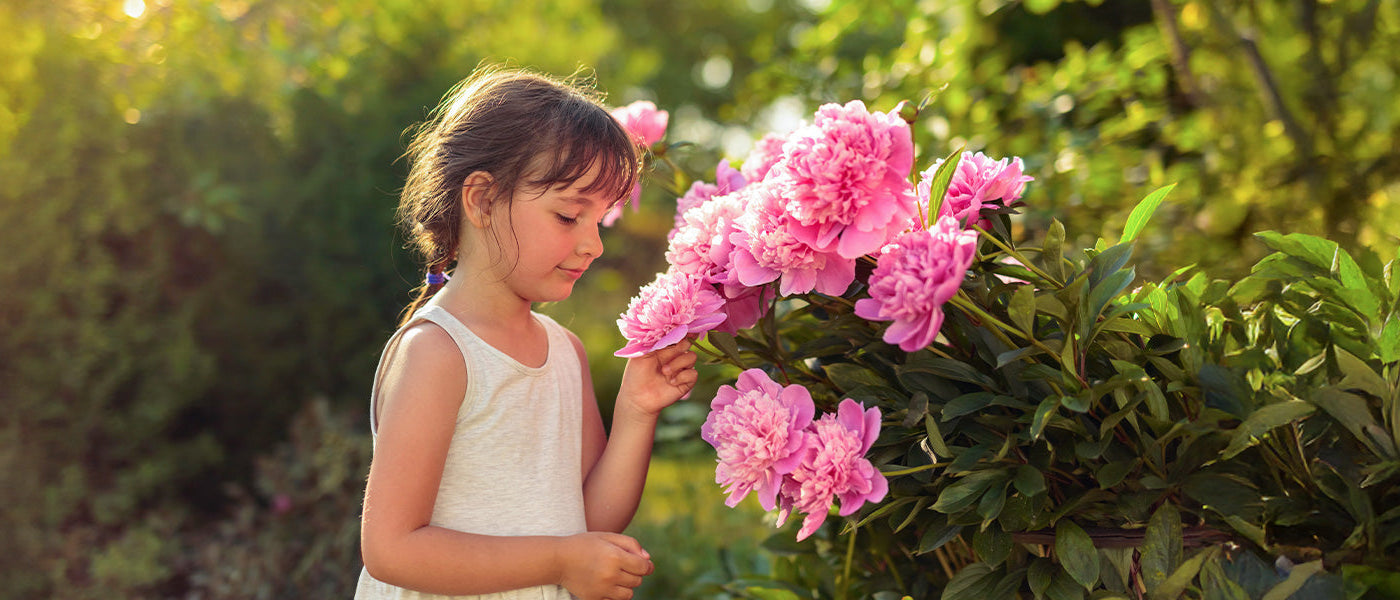 Jardin des senteurs | -20%