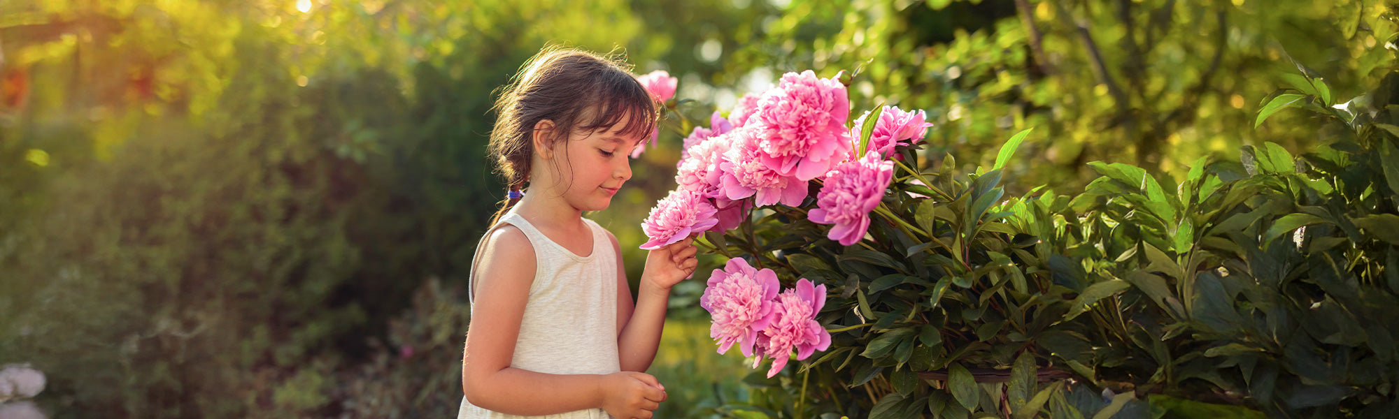 Jardin des senteurs | -20%