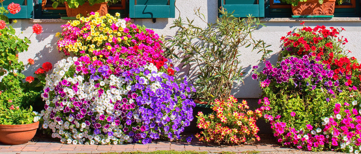 Jardin en ville | -20%