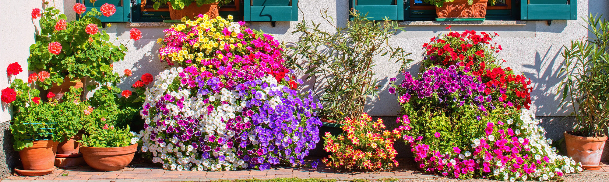 Jardin en ville | -30%