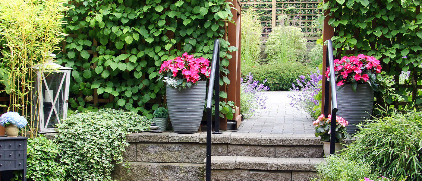 Petits jardins urbains