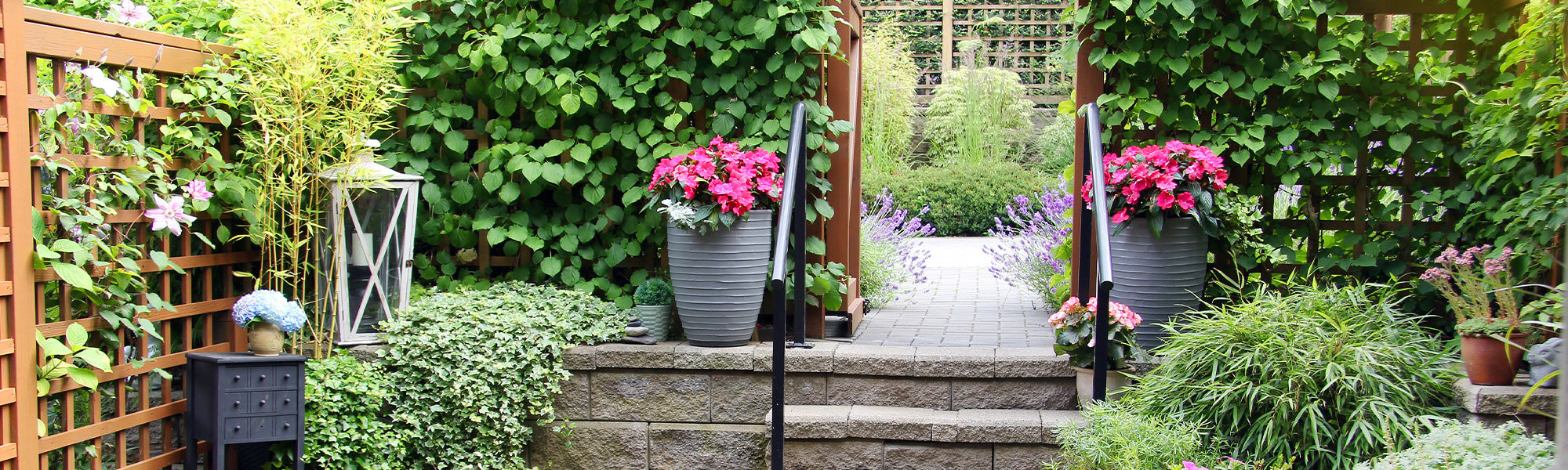 Petits jardins urbains