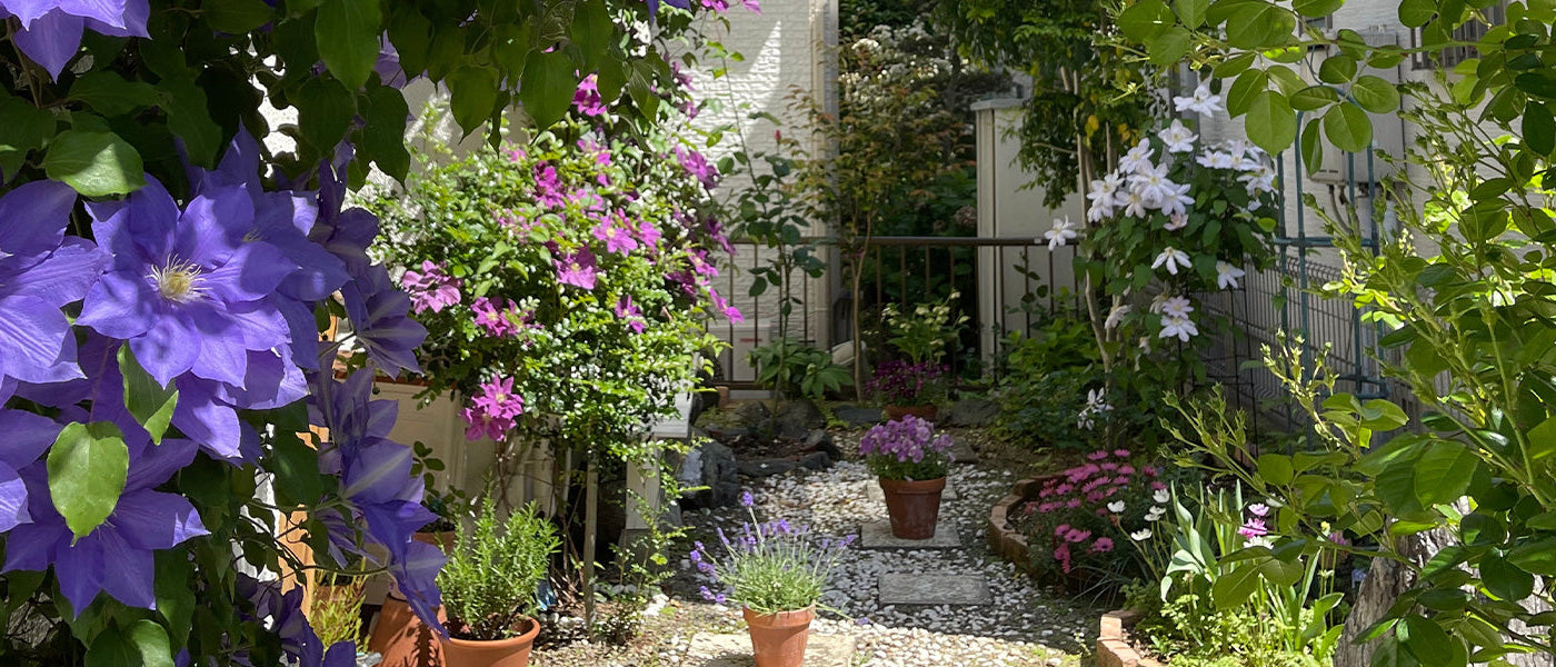 Créer un îlot fraicheur | -20% 