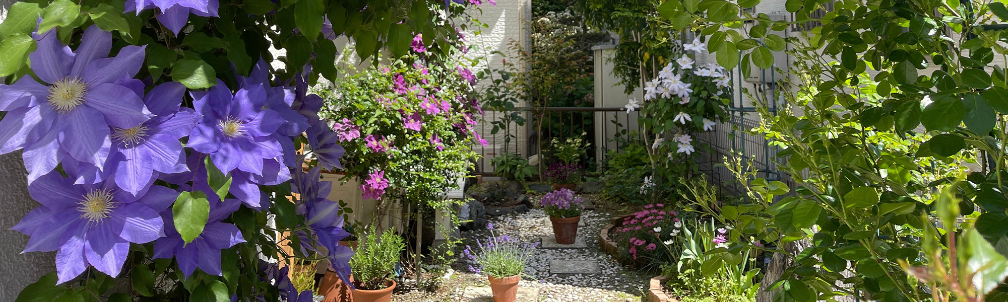 Créer un îlot fraicheur | -30%