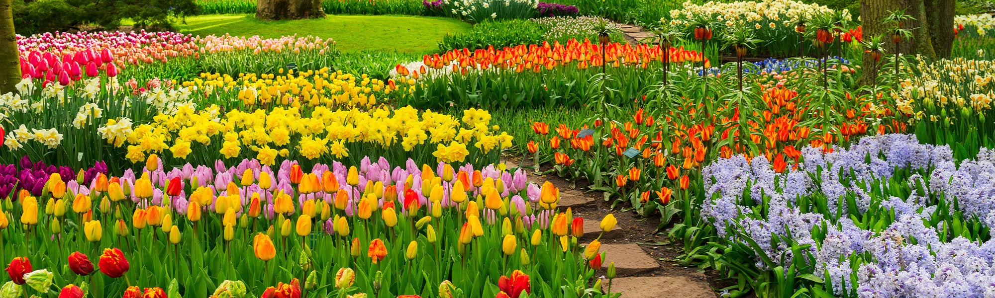 Un printemps haut en couleurs : jusqu'à -30% !
