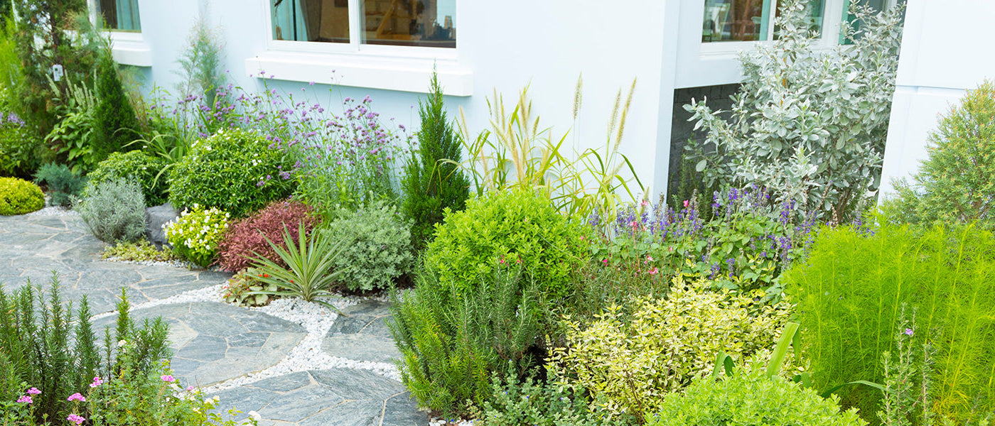 Jardin en ville | -10%