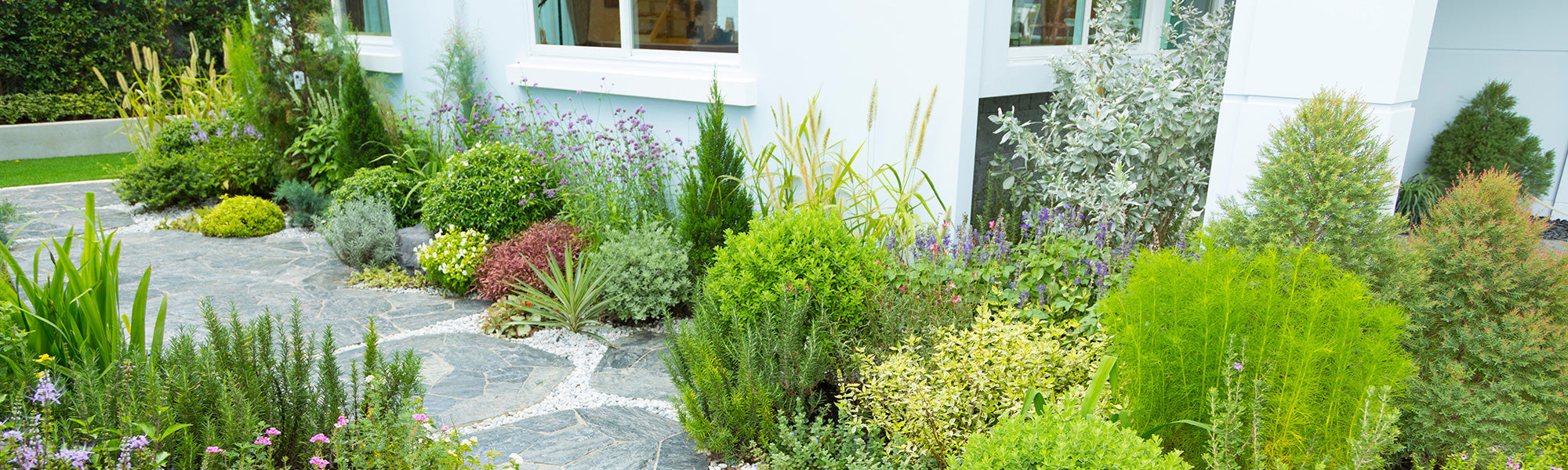 Jardin en ville | -10%