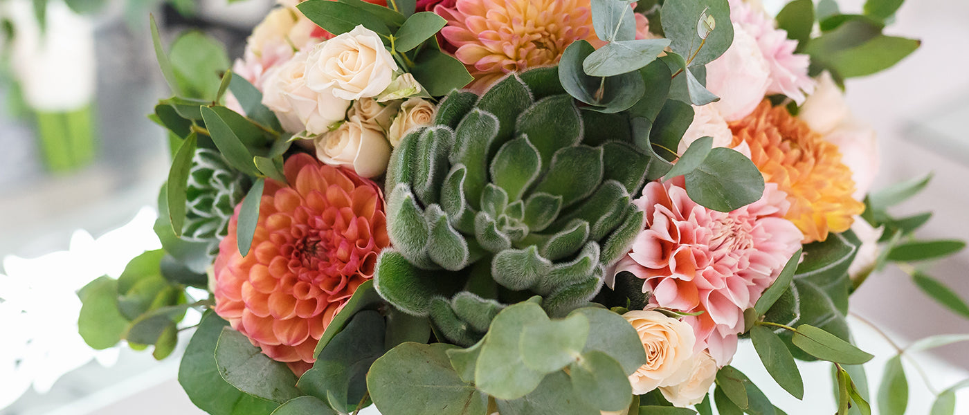 Dahlia décoratif