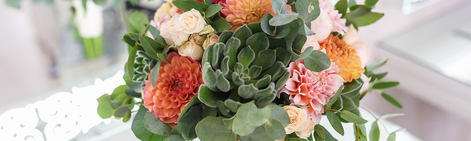 Dahlia décoratif