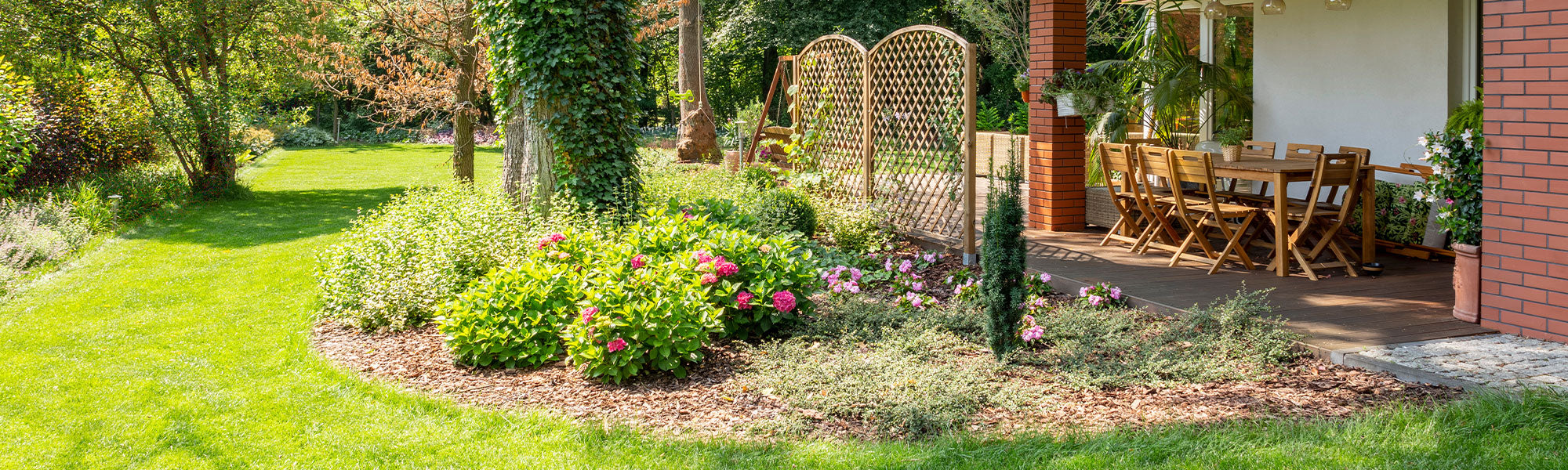 Par zone de jardin : choisir les bonnes plantes | Willemse