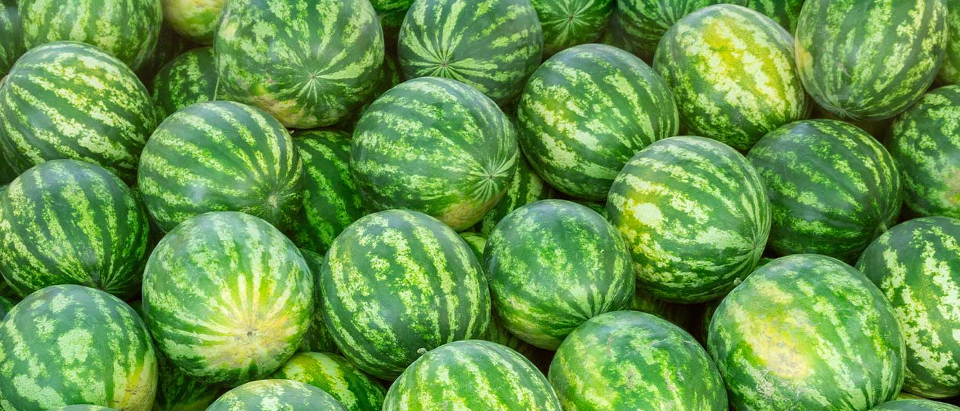 Pastèques