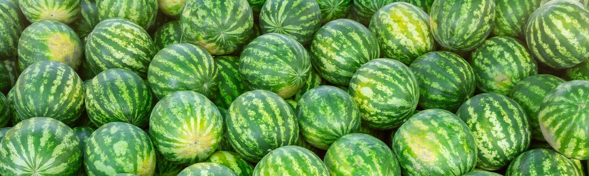 Pastèques