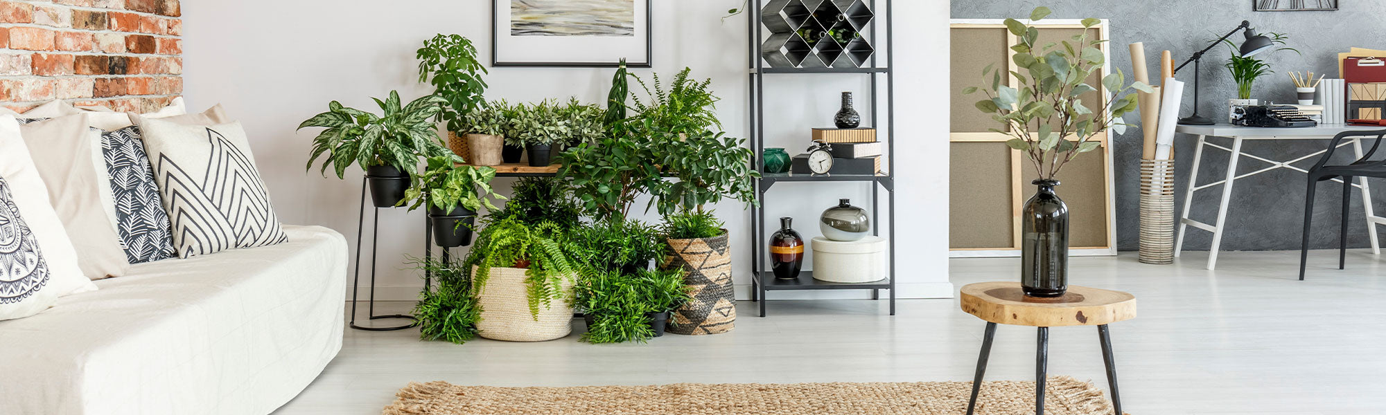 Plantes d'intérieur par pièce