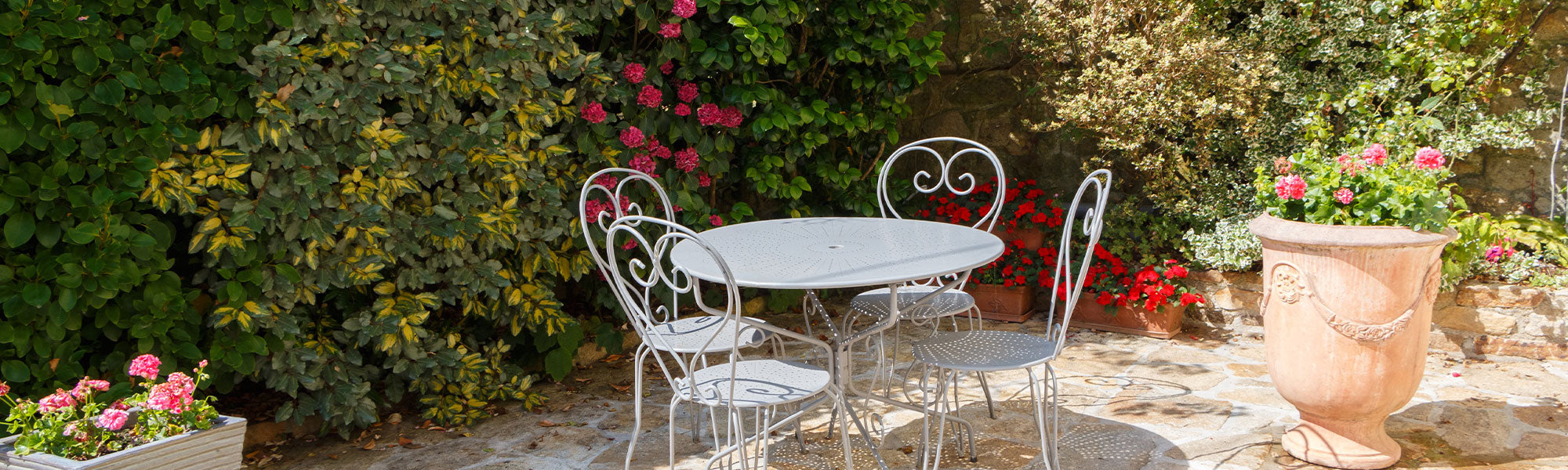 Plantes fleuries pour terrasse
