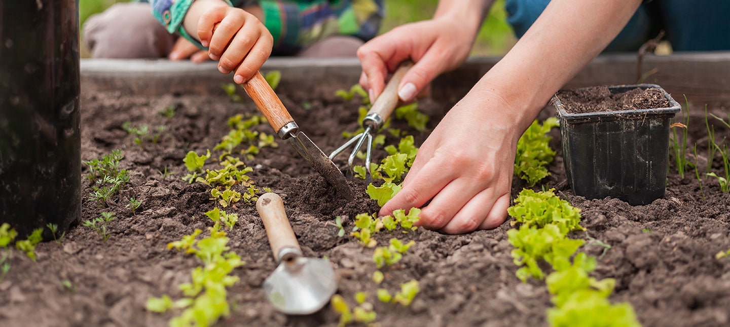 Potager Facile
