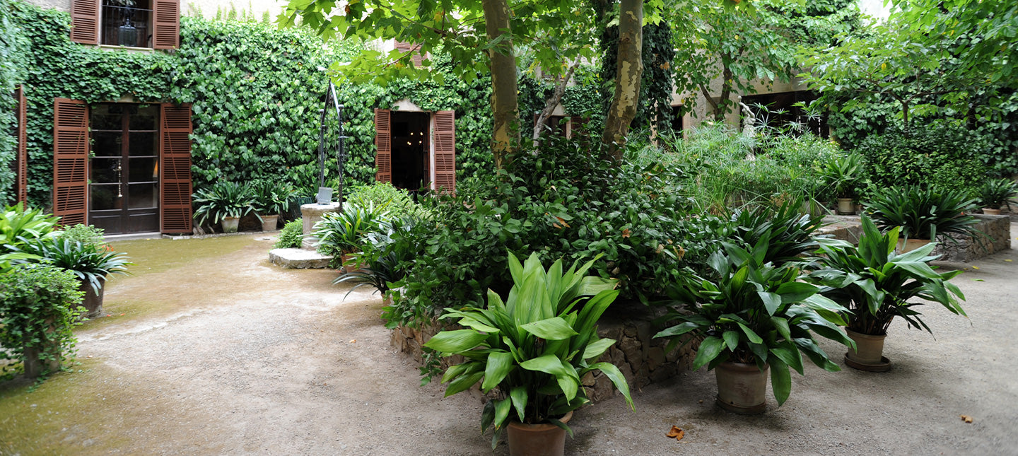 Terrasse à l’abri du vent