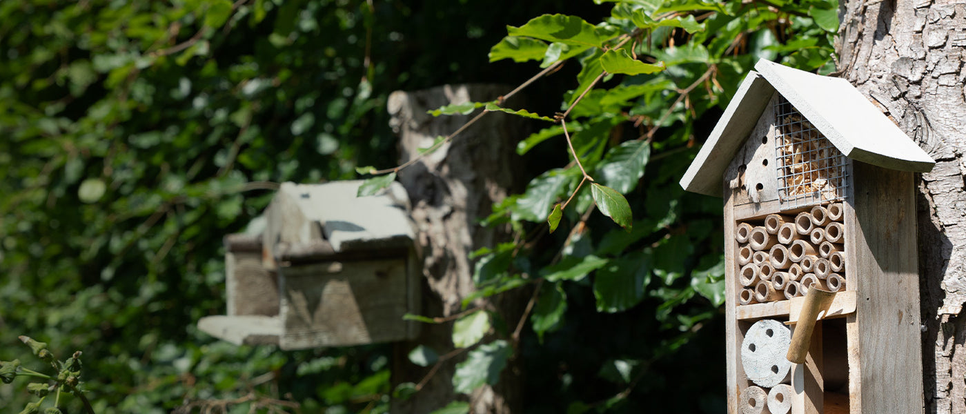 Equipements et accessoires pour animaux