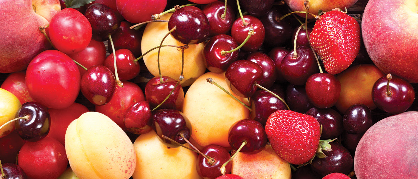 Fruitiers Arbres et arbustes